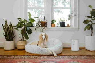 �isti�ka vzduchu AF 20