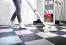 FC 3 Cordless White Line Bateriov� podlahov� �isti� pro dom�cnost (2/6)